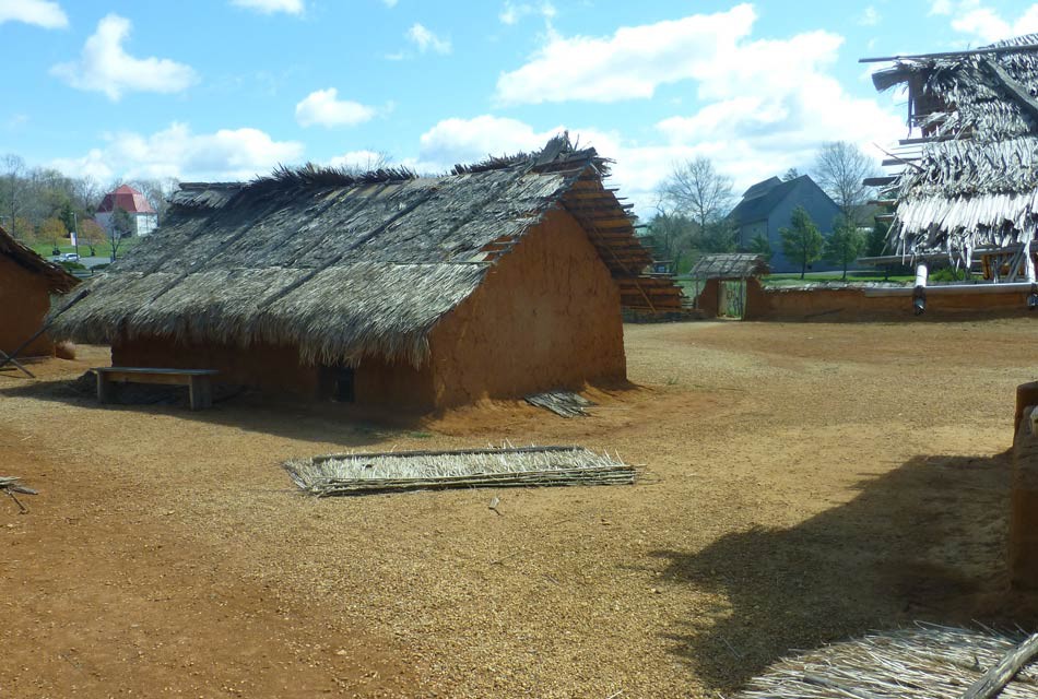 A Brief History of Igbo Village