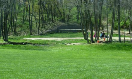 Picnic Grounds & Recreational Facilities Near Igbo Village