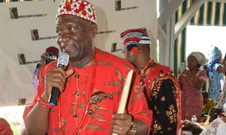 Chief John Nnia Nwodo