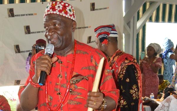 Chief John Nnia Nwodo